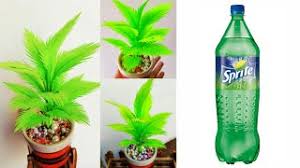 Pohon natal dari pohon sekitar rumah. Cara Membuat Pohon Natal Dari Botol Sprite Cara Membuat Cute766