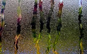 Real rain drops splatter & drip down glass window. Rain Glass Window Water Drops Streams Hd Background Wallpaper Water Wallpaper Better