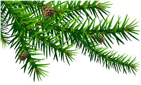 green pine branch png clip art image gallery yopriceville high quality images and transparent png free clipart gallery yopriceville