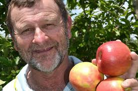 Batlow apple grower, Greg Mouat, confident local apples will beat any US  imports