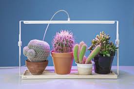 How about led lights then? Bulbo Italian Led Grow Lights And Seeds 6 Inhabitat Green Design Innovation Architecture Green Building