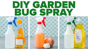 Diy Garden Bug Spray Youtube