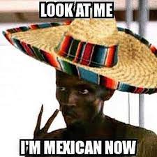 Maybe you would like to learn more about one of these? 25 Hilarious Cinco De Mayo Memes Sayingimages Com