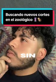 Cortes de cabello inspirados en animales del zoológico