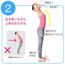 疲れないのに効く 反るだけ腹筋 2 2 腹筋運動 ダイエット トレーニング 下腹部