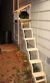 After all, consider what would happen if: Ladders Outdoor Cat House Cat Stairs Outdoor Cat Shelter