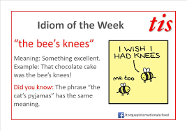 An immediate reaction without examining reasons why. Torquay International School Idiom Of The Week Https Www Facebook Com Torquayinternationalschool Fref Photo Good Idioms Learn English English Idioms