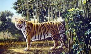 3.77 out of 5) april 12, 2014 by puzzler 4 comments. Can You Spot The Hidden Tiger Daily Mail Online