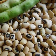 Image result for Vigna unguiculata