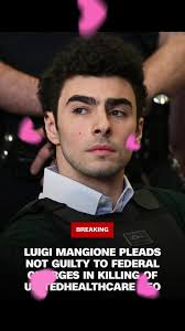 Luigi Tries to Talk to Reporters