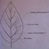 Maybe you would like to learn more about one of these? 1