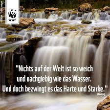 Zitat Zum Sonntag Nichts Auf Der Welt Ist So Weich Und Nachgiebig
