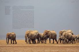 Planet Earth III: Our World at the Dawn of a New Age | NHBS Good Reads