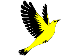 Hier haben wir den liveticker für euch. Liberale Finnland Wikipedia