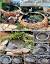 Diy Pond Waterfall Spillway