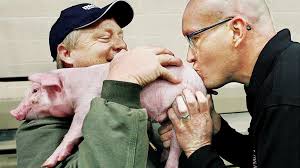 Photos: Animal shots of the week