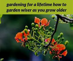 Gardening For A Lifetime How To Garden Wiser As You Grow Older 279 20180915175741 53 Gardening Jak Kids Gardening Kit Memorial Garden Flag Memorial Garden