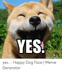 Happy Dog Face Meme Happy Dogs Happy Dog Meme Funny Dog Memes