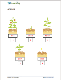 Grade 5 worksheets and online activities. Science Worksheets For Grade 1 Students K5 Learning