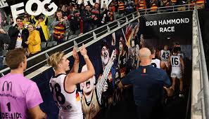 Jaime ligator sheldon brenowitz allen fialkoff Rowey And Bicks Clash Over Crows Aflw Couple Fiveaa