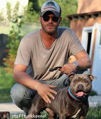 Miren Que Hermosa Foto Staffturkkennel Kivanctatlitug Basakdizer Roomandrumours Roomtr Kivanc Tatlitug Animals Instagram