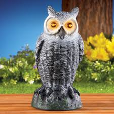 Owl pest prevention is a full service pest prevention company serving property and facility management companies in owl is fully insured and licensed and only uses products registered with the federal government and the epa. Motion Activated Light Up Owl Yard Statue Collections Etc