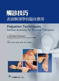 现货触诊技巧-表面解剖学的临床应用18 合记吴威廷物理治疗进口原版进口原版- Taobao