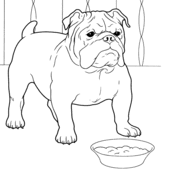 French Bulldog Coloring Page Dog Coloring Page Puppy Coloring Pages Cat Coloring Page