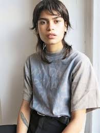 Check spelling or type a new query. Modern Mullet