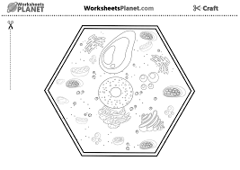Identify and label figures in turtle diary's fun online game, plant cell labeling! Plant Cell Easy Craft