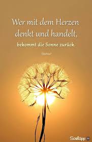 26 Teuer Spruche Und Zitate App Kostenlos Spruche Spruche Zitate Weisheiten