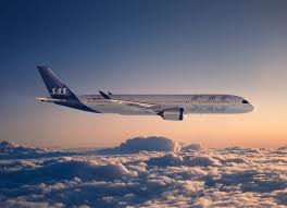 Maybe you would like to learn more about one of these? Airline Sas Announces New Ceo Life In Norway