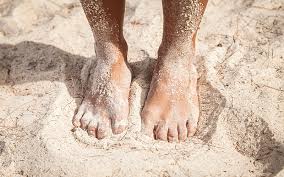 They have several pairs of legs, and long, thick antennae. How To Get Rid Of Sand Fleas Getridofallthings Com