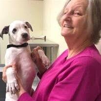 Mary Kathy Bailey Obituary