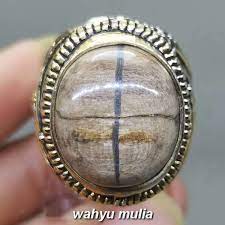 Batunya bisa berwarna apa saja. Cincin Batu Akik Tapak Jalak Fosil Asli Kode 1867 Terbaru Agustus 2021 Harga Murah Kualitas Terjamin Blibli