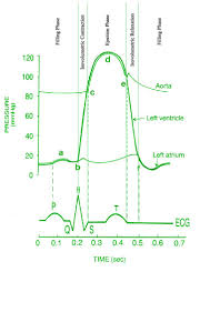 Hemodynamics Is A 12 Letter Word An Intro To The Basics