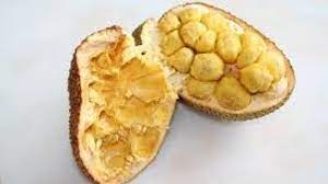 Panaskan minyak di dalam penggorengan. 4 Bahaya Buah Cempedak Bagi Ibu Hamil Hamil Co Id