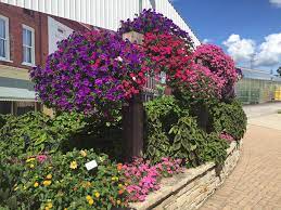 Providers of quality grown garden plants. Farmers Market Garden Center Home Facebook