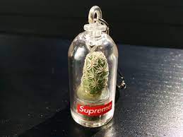 One of the smaller supreme stores, the osaka outlet relocated to its current location in the city's nishi ward in 2012. Review Supreme Cactus Keychain Album On Imgur
