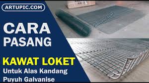 Jual kandang burung puyuh tangerang. Kandang Baterai Puyuh Artupic