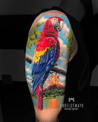 Search for other tattoos in kill devil hills on the real yellow pages®. Realistic Parrot Tattoo On The Upper Arm