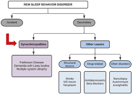 Image result for REM Sleep Behavior Disorder