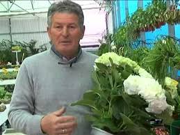 El jardinero vino el sábado a cortar el césped. El Jardinero En Casa Hortensias Youtube Poda De Hortensias Cuidado De Hortensias Plantas De Otono