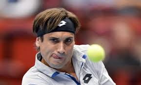Ferrer vuelve a la final de Viena y se acerca al Masters