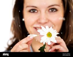 Picking daisy petals hi-res stock photography and images