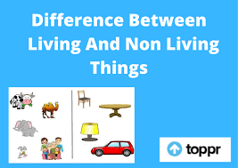 Click on the picture to take you there and grab it! Difference Between Living And Non Living Things In Tabular Form
