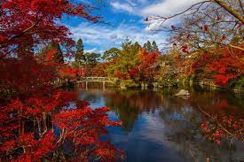 Get kyoto's weather and area codes, time zone and dst. Best Time To Visit Kyoto When To Go Weather Guide For 2021