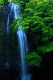 深緑の滝 | 自然・風景 ＞ 滝 | GANREF