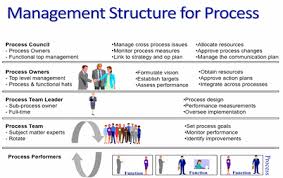 management structure for process success bpminstitute org