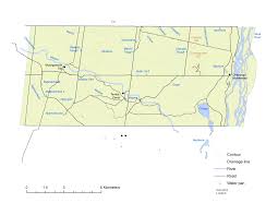 Image result for Streptopetalum serratum